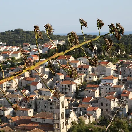 Blue Lagoon House Apartment Hvar Town
